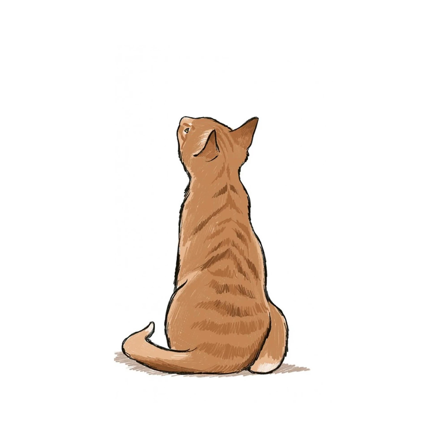 10 Step Drawing: Cats - J. Lecouffe 4 10 Step Drawing: Cats - J. Lecouffe - Image 4