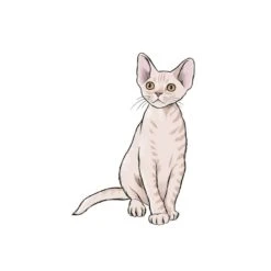 10 Step Drawing: Cats - J. Lecouffe 6 10 Step Drawing: Cats - J. Lecouffe -ARTdiscount 10 Step Drawing Cats 2