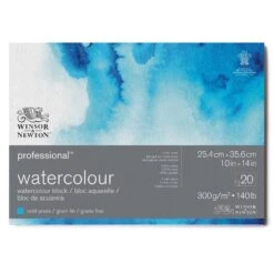 Winsor & Newton Professional Water Colour Blocks 10 Winsor & Newton Professional Water Colour Blocks -ARTdiscount 91174