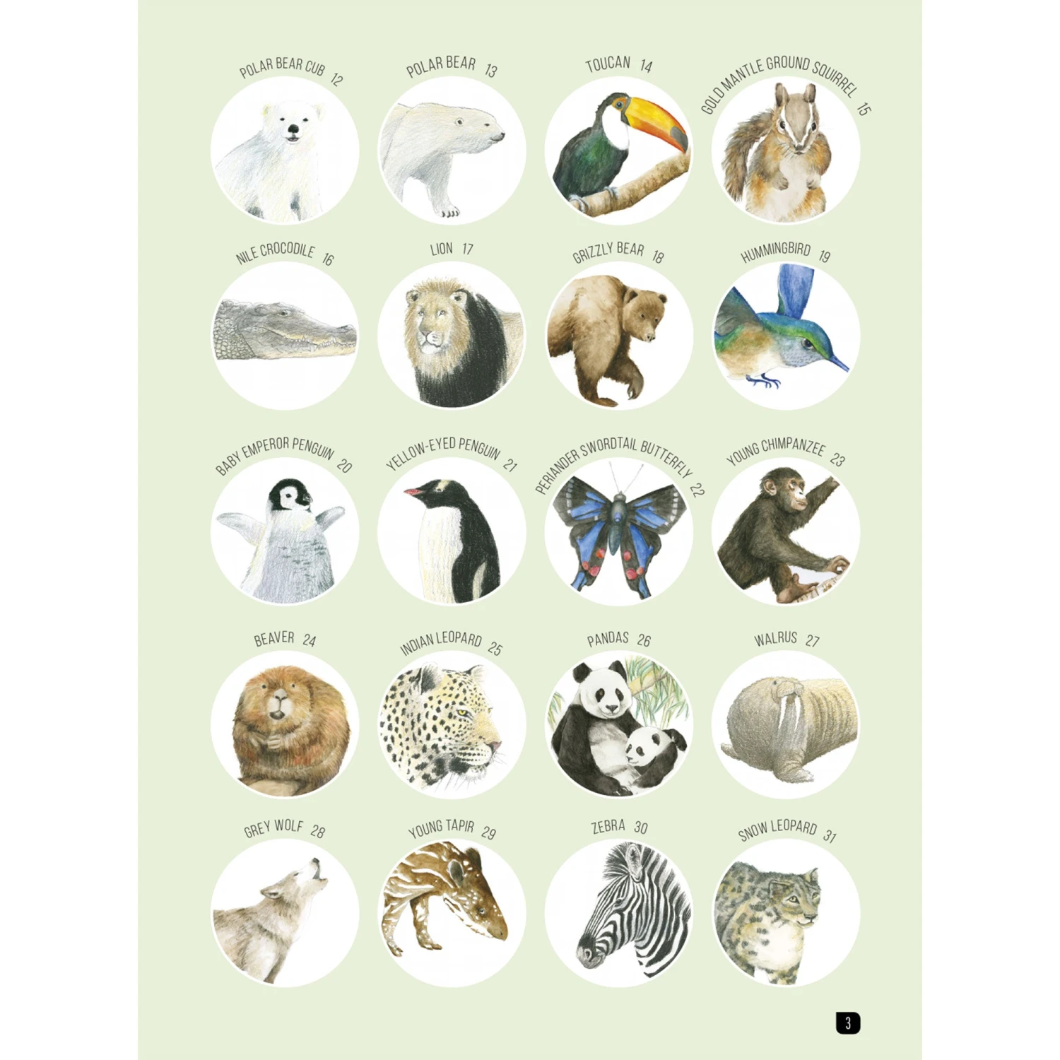 Draw 100: Animals - S. Hodge & J. Newey 2 Draw 100: Animals - S. Hodge & J. Newey - Image 2