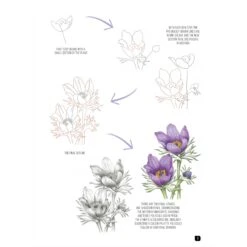 Draw 100: Flowers - J. Whittle & P. Brown -ARTdiscount Draw 100 Flowers 2