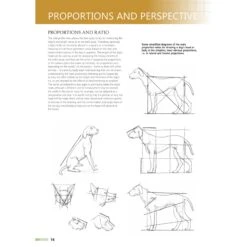 Drawing Animals Using Grids - G. Civardi -ARTdiscount Drawing Animals Using Grids 2