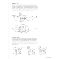 Drawing Animals Using Grids - G. Civardi -ARTdiscount Drawing Animals Using Grids 3