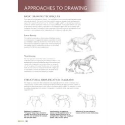Drawing Animals Using Grids - G. Civardi -ARTdiscount Drawing Animals Using Grids 4