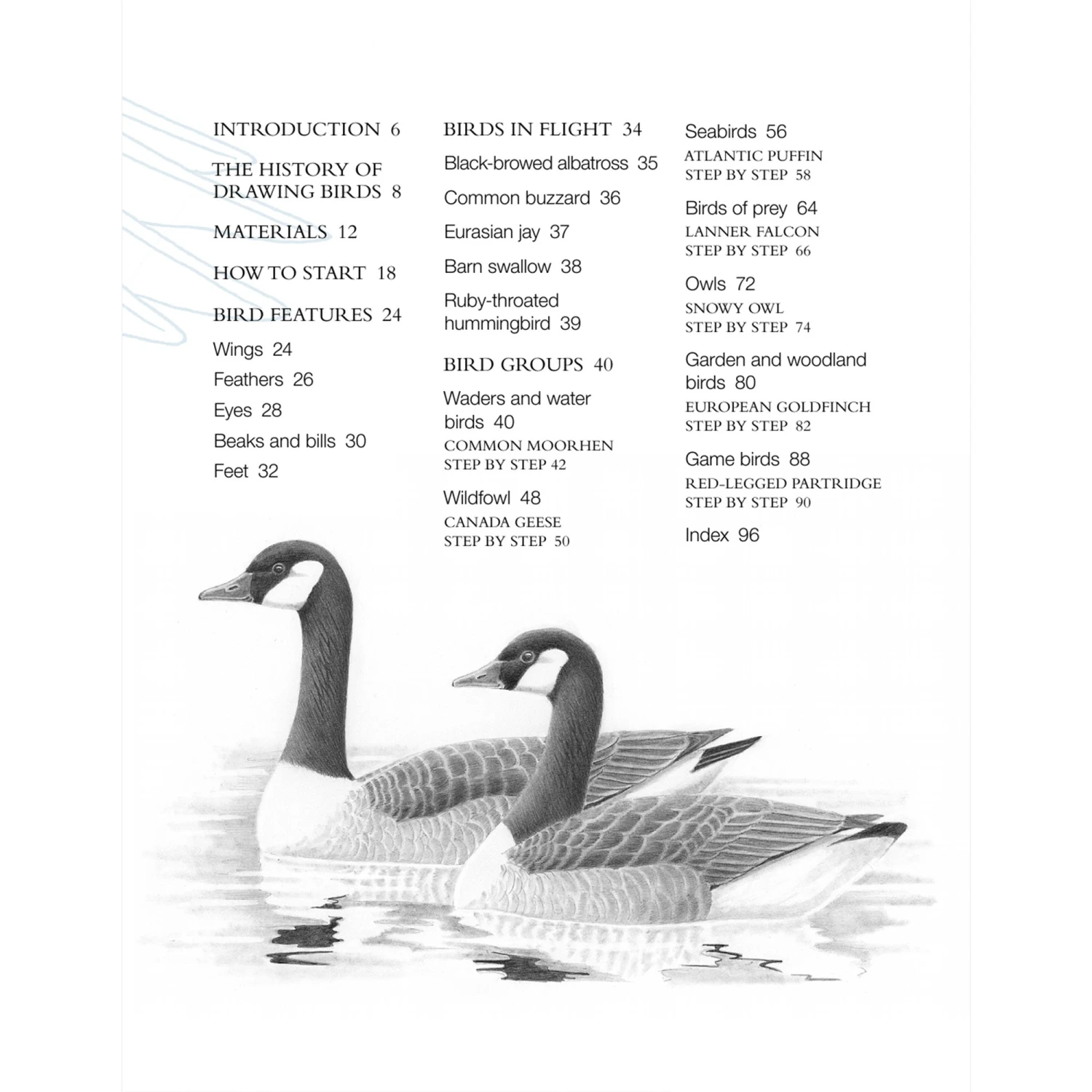 Drawing Birds - A. Forkner 2 Drawing Birds - A. Forkner - Image 2