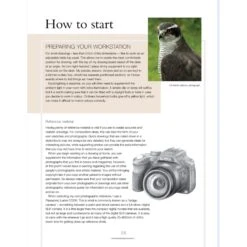 Drawing Birds - A. Forkner 7 Drawing Birds - A. Forkner -ARTdiscount Drawing Birds 3