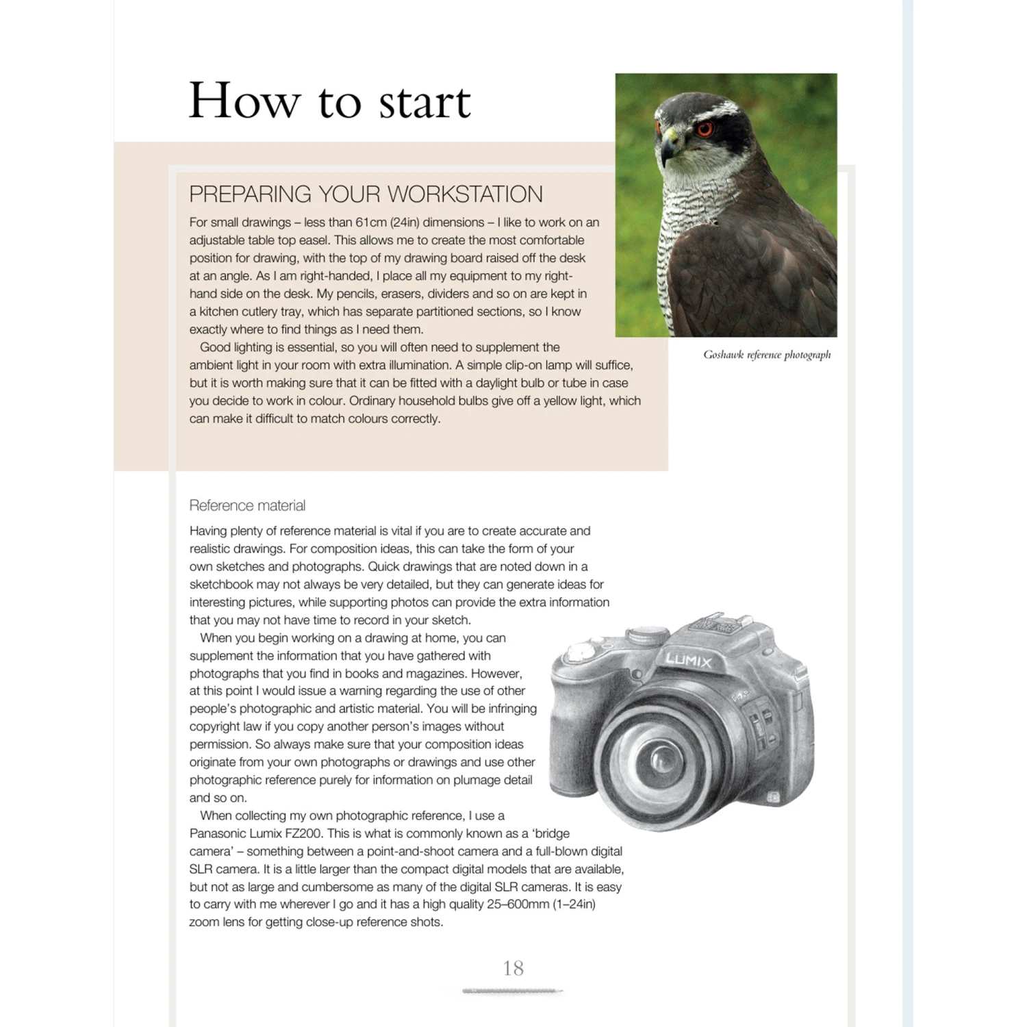 Drawing Birds - A. Forkner 3 Drawing Birds - A. Forkner - Image 3