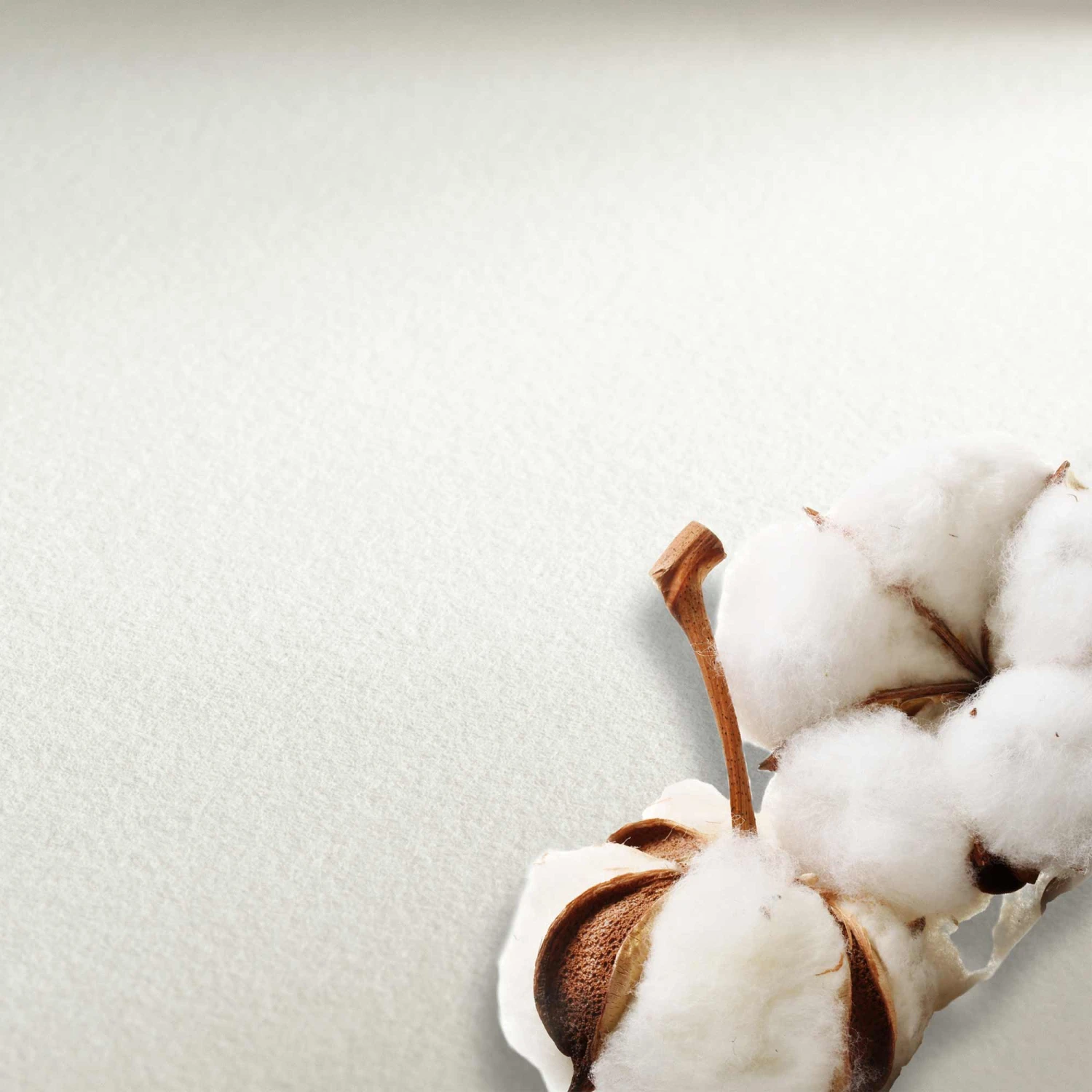 Hahnemühle Sketch Pads - 140gsm 3 Hahnemühle Sketch Pads - 140gsm - Image 3