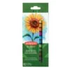 Derwent Academy Blendable Soft Pastels