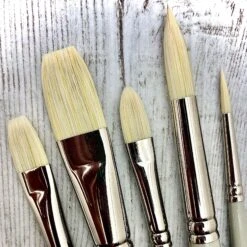 Pro Arte Series D Bristlene Oil Brushes (W16) - Set Of 5 -ARTdiscount bristlene 1