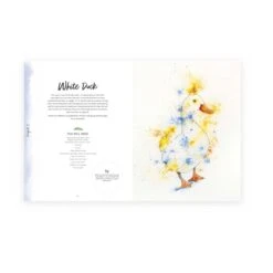 Painting With Brusho - J. Boon Thomas 6 Painting With Brusho - J. Boon Thomas -ARTdiscount brusho Inside book