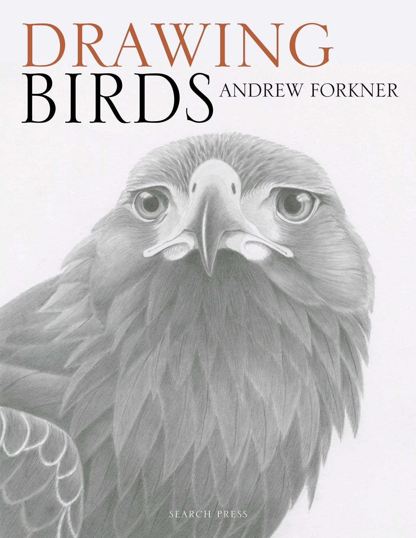 Drawing Birds - A. Forkner 1 Drawing Birds - A. Forkner