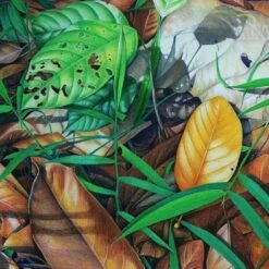 Faber-Castell Polychromos 120 12 Faber-Castell Polychromos 120 -ARTdiscount example 4