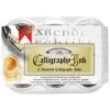 Winsor & Newton Calligraphy Ink Set