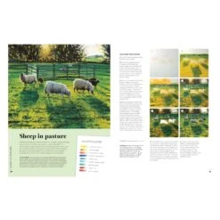 Paint 50 Landscapes By J. F. Dowden 6 Paint 50 Landscapes By J. F. Dowden -ARTdiscount landscapes sheep in pasture