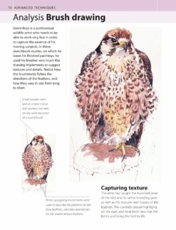 The Watercolour Artist's Bible - M. Scott 24 The Watercolour Artist's Bible - M. Scott -ARTdiscount page10 927bd4b7 3913 4208 9c9c c170abb99588