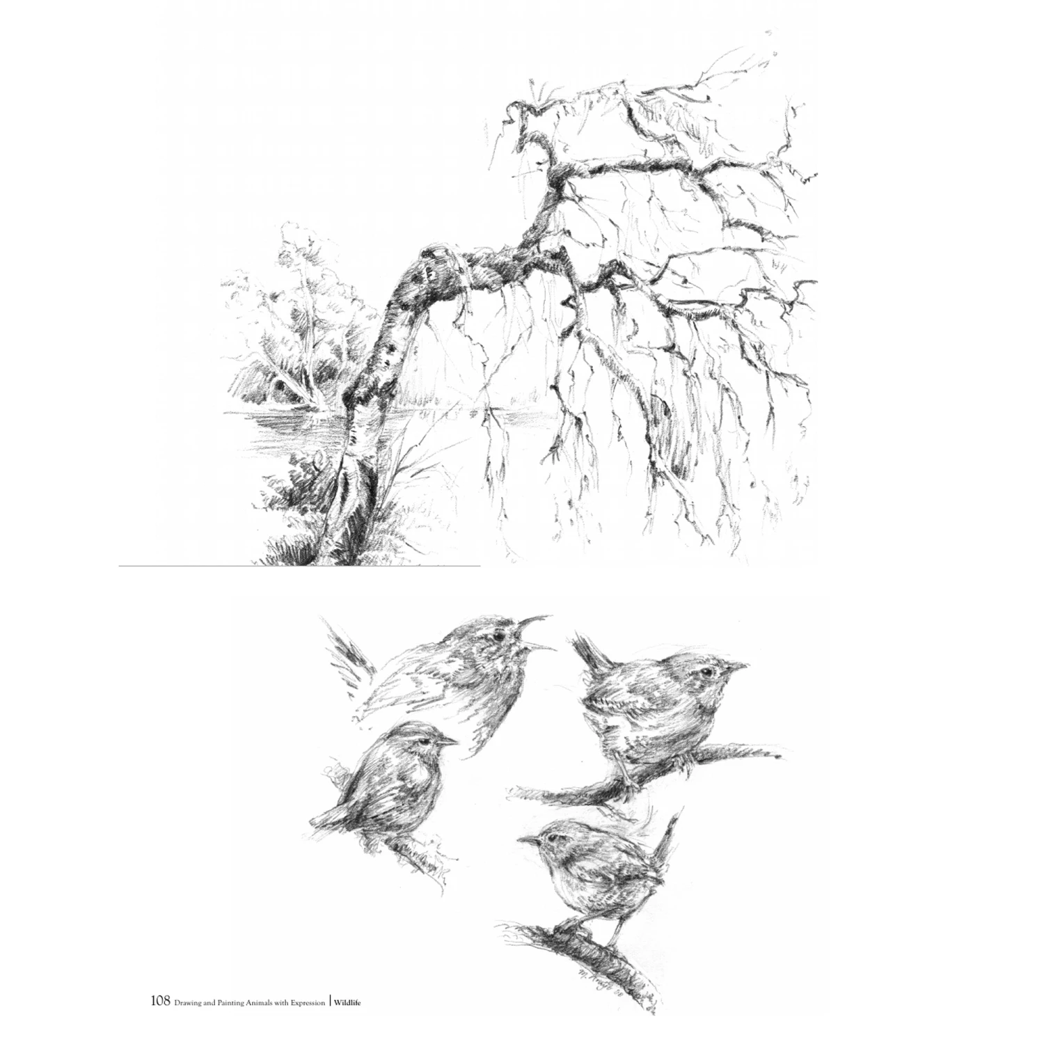 Drawing And Painting Animals With Expression - M. Kruijt 5 Drawing And Painting Animals With Expression - M. Kruijt - Image 5