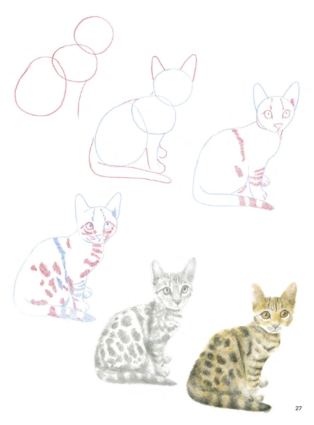 How To Draw: Kittens In Simple Steps - S. Hodge 3 How To Draw: Kittens In Simple Steps - S. Hodge - Image 3